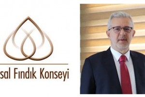 Ulusal Fındık Konseyi Yönetim Kurulu Görev Dağılımı Yapıldı 